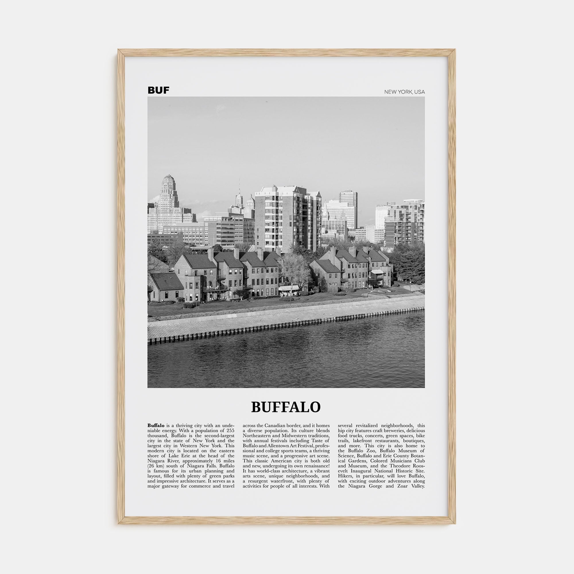 Buffalo Travel B&W No 2 Poster