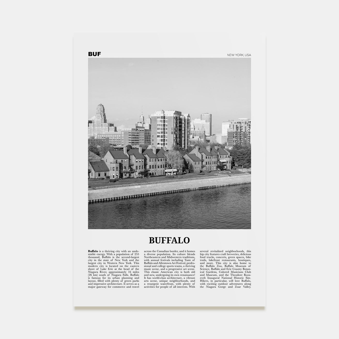 Buffalo Travel B&W No 2 Poster