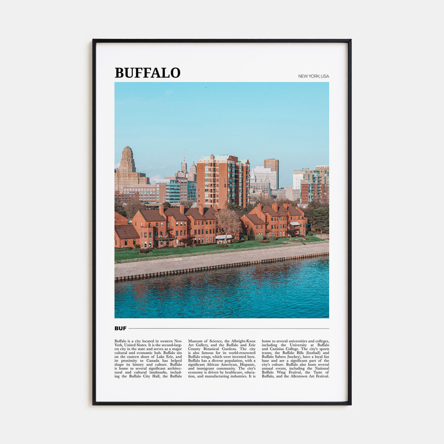 Buffalo Travel Color Poster