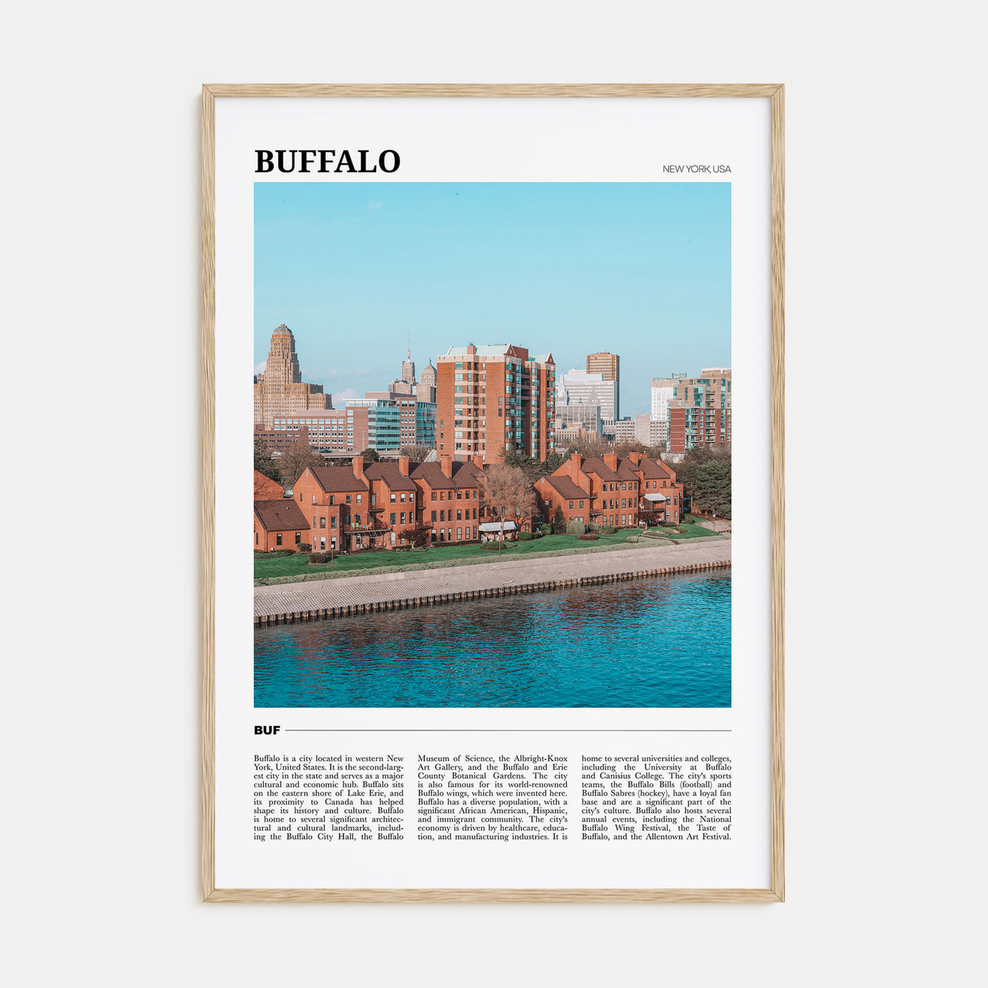 Buffalo Travel Color Poster