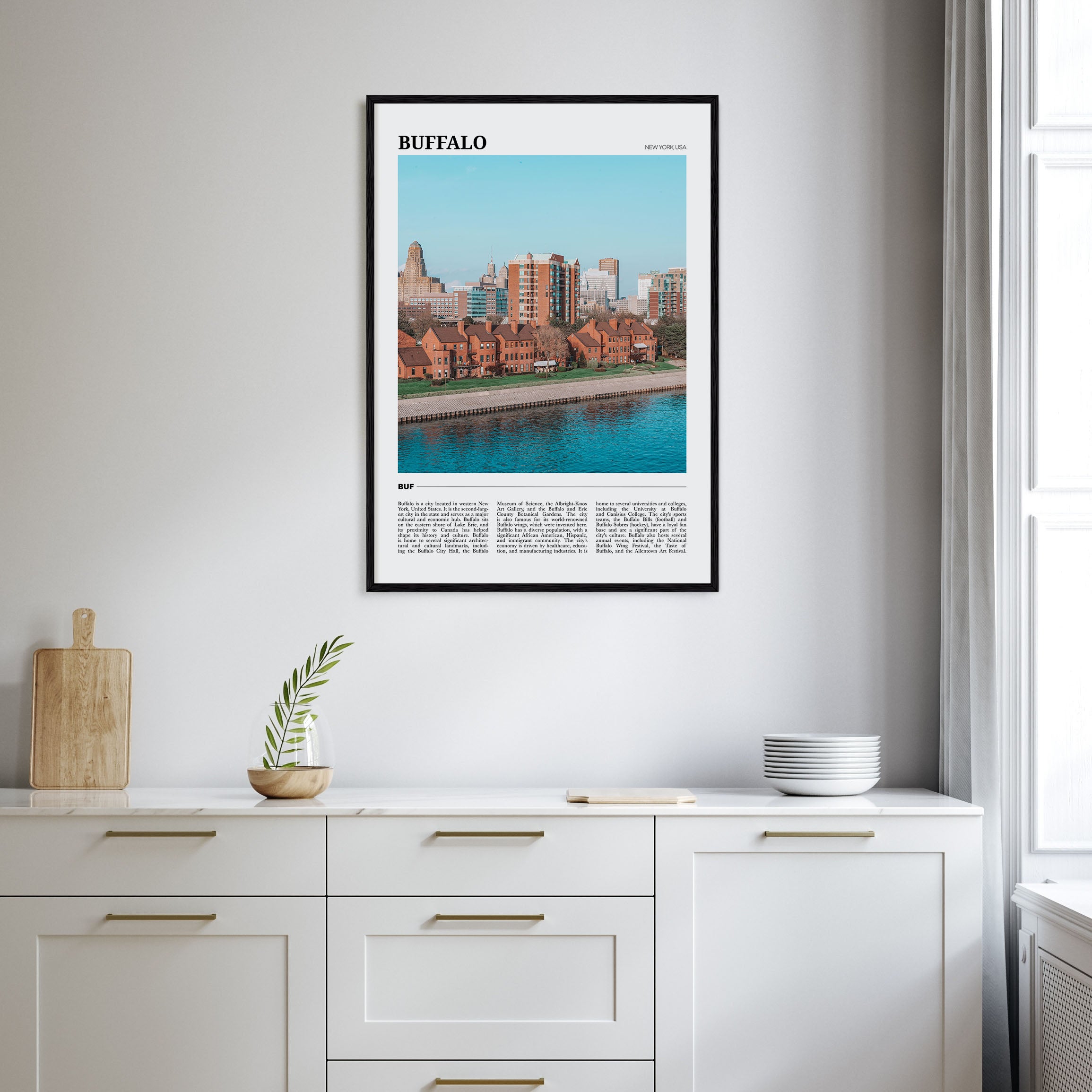 Buffalo Travel Color Poster