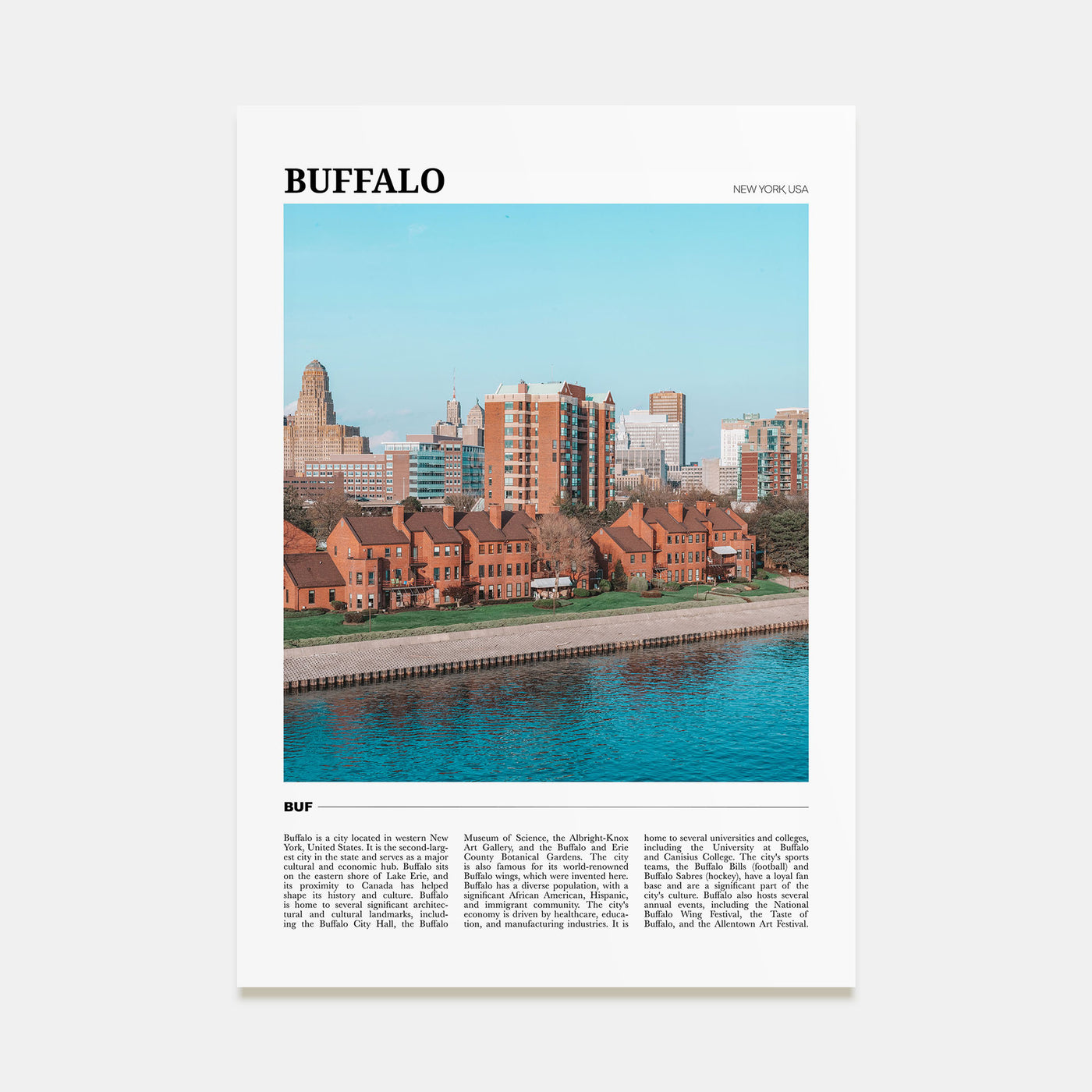 Buffalo Travel Color Poster