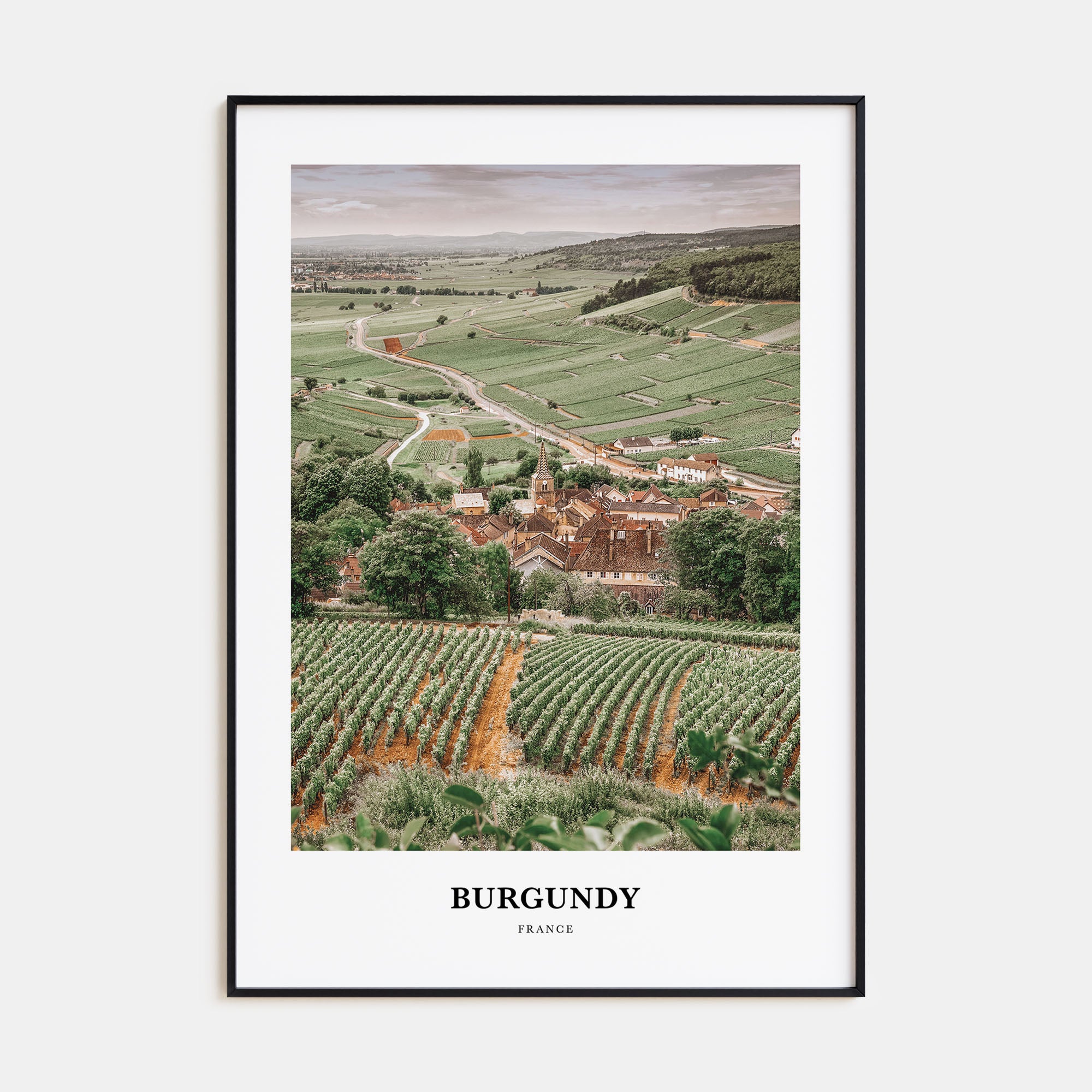 Burgundy Portrait Color Poster