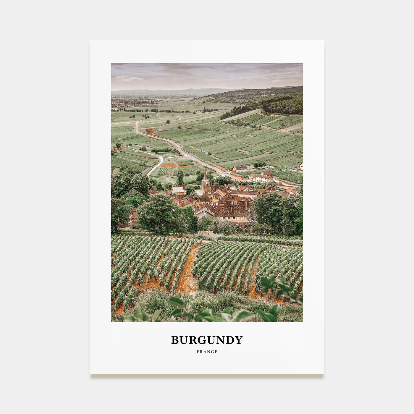 Burgundy Portrait Color Poster