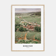 Burgundy Portrait Color Poster