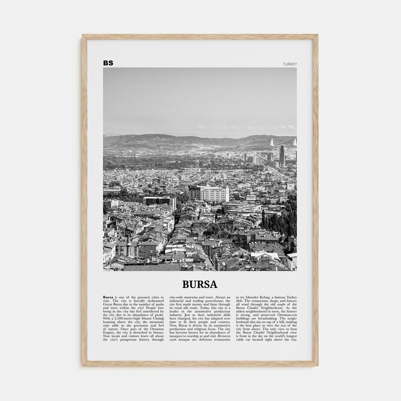 Bursa Travel B&W Poster