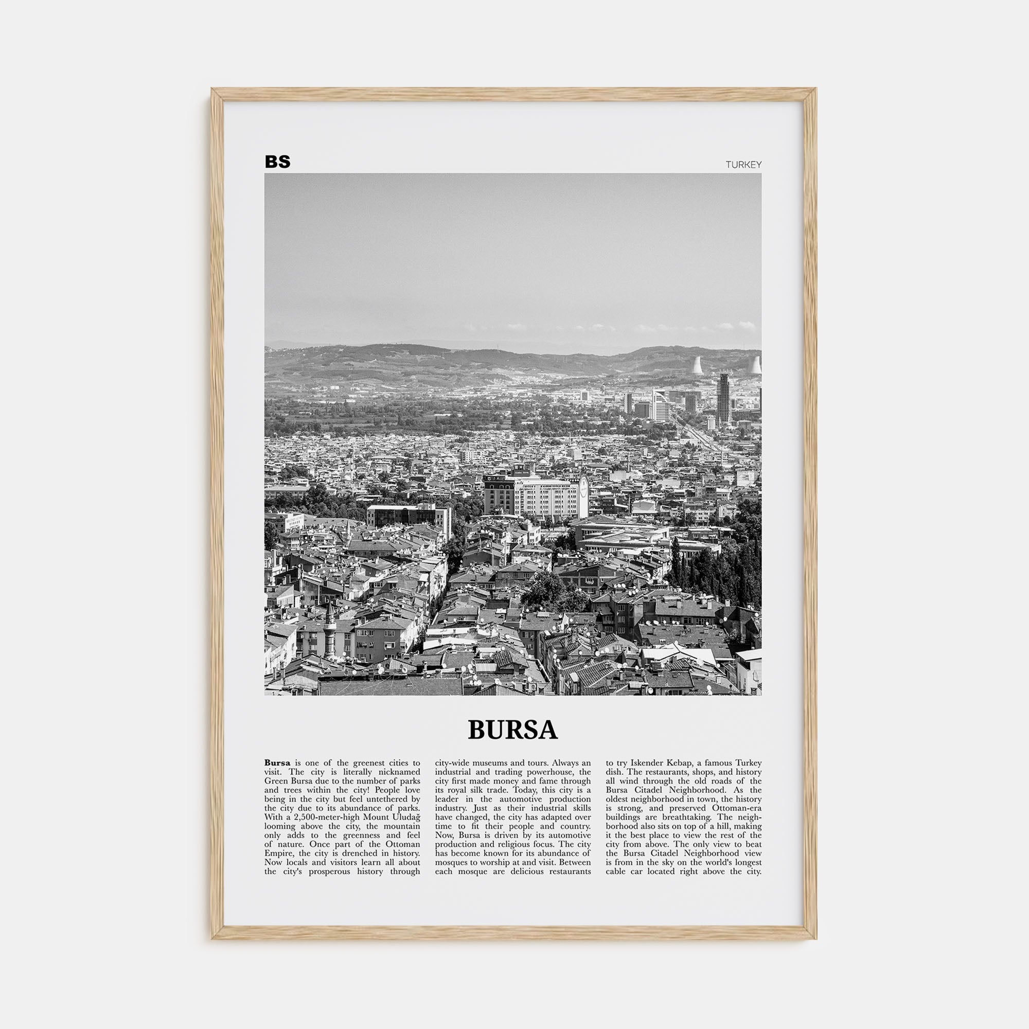 Bursa Travel B&W Poster