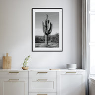 Cactus Photo B&W No 1 Poster
