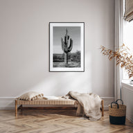 Cactus Photo B&W No 1 Poster