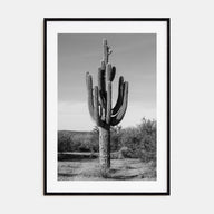 Cactus Photo B&W No 1 Poster