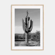 Cactus Photo B&W No 1 Poster