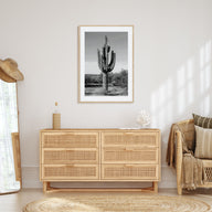 Cactus Photo B&W No 1 Poster
