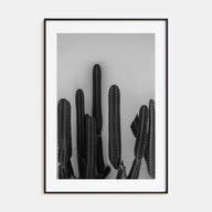 Cactus Photo B&W No 2 Poster