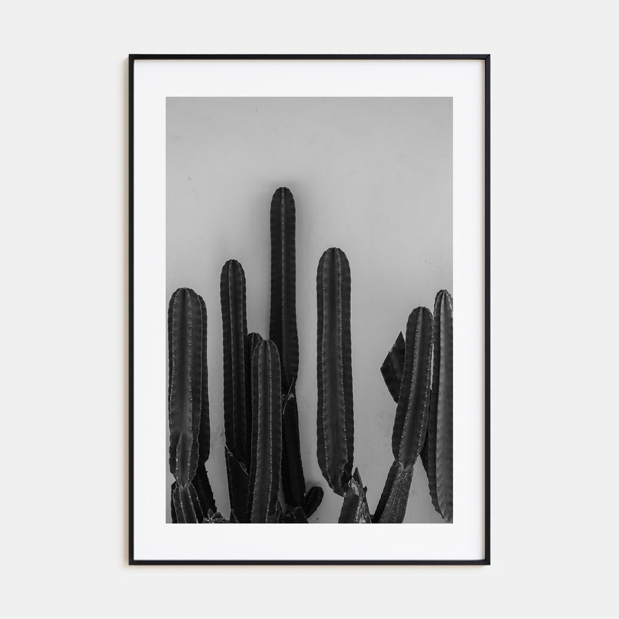 Cactus Photo B&W No 2 Poster