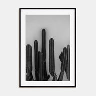 Cactus Photo B&W No 2 Poster