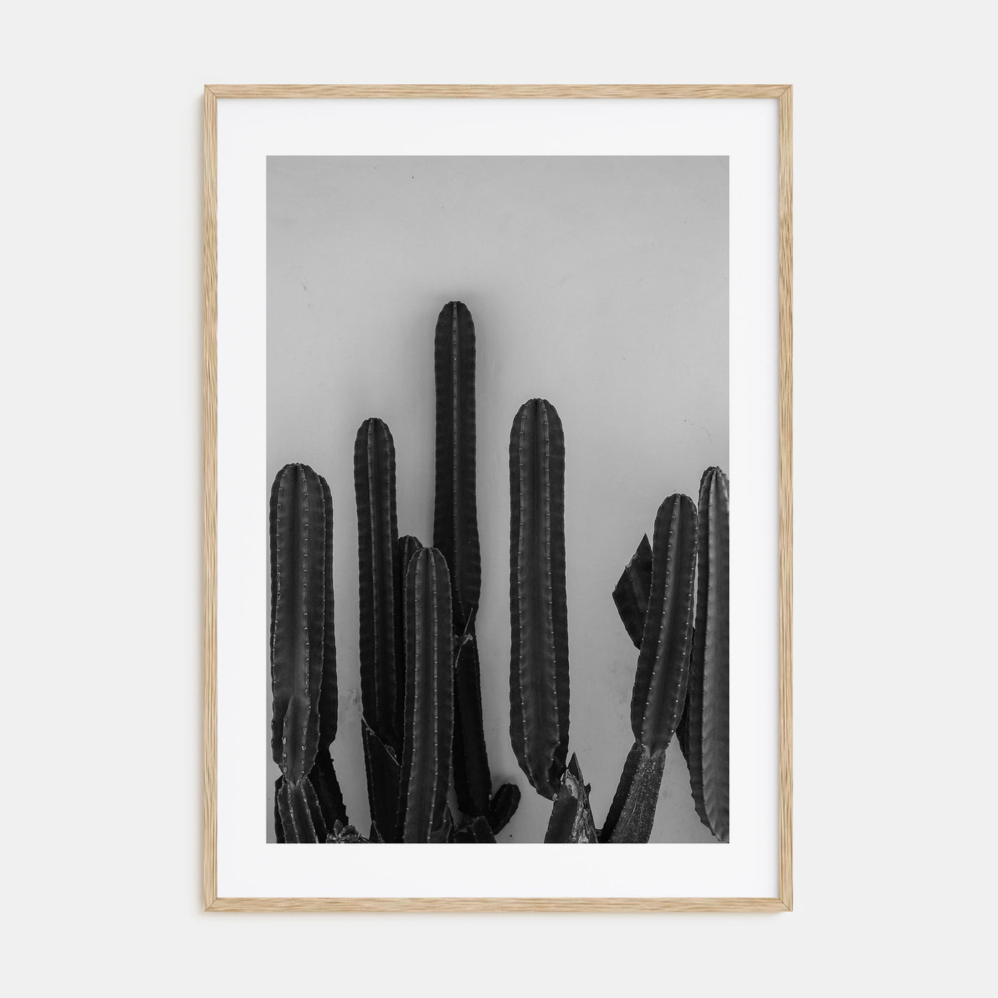 Cactus Photo B&W No 2 Poster