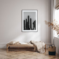 Cactus Photo B&W No 2 Poster