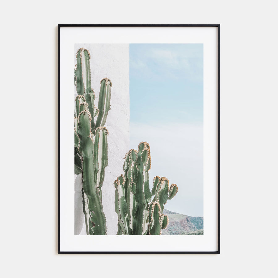 Cactus Photo Color No 1 Poster