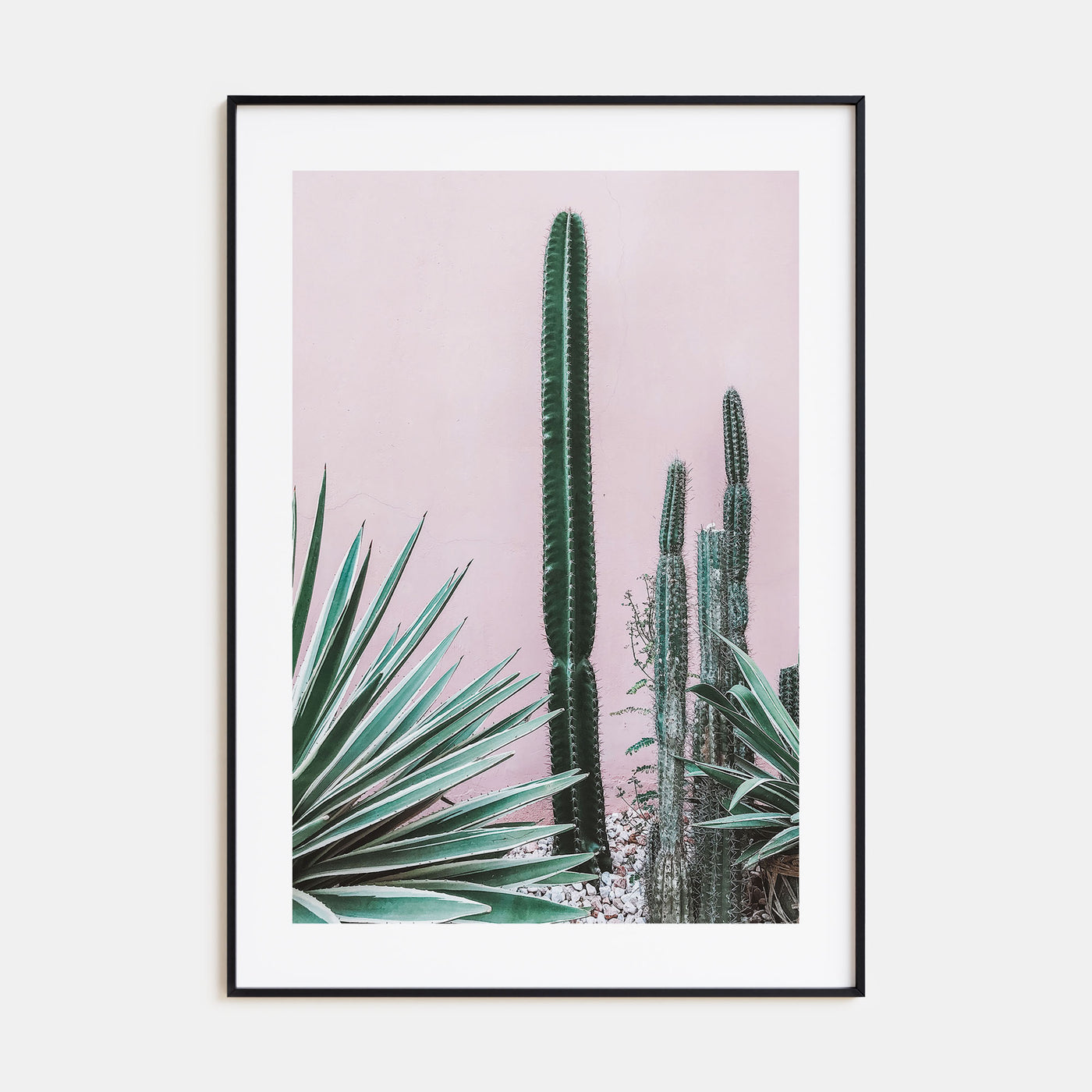 Cactus Photo Color No 2 Poster