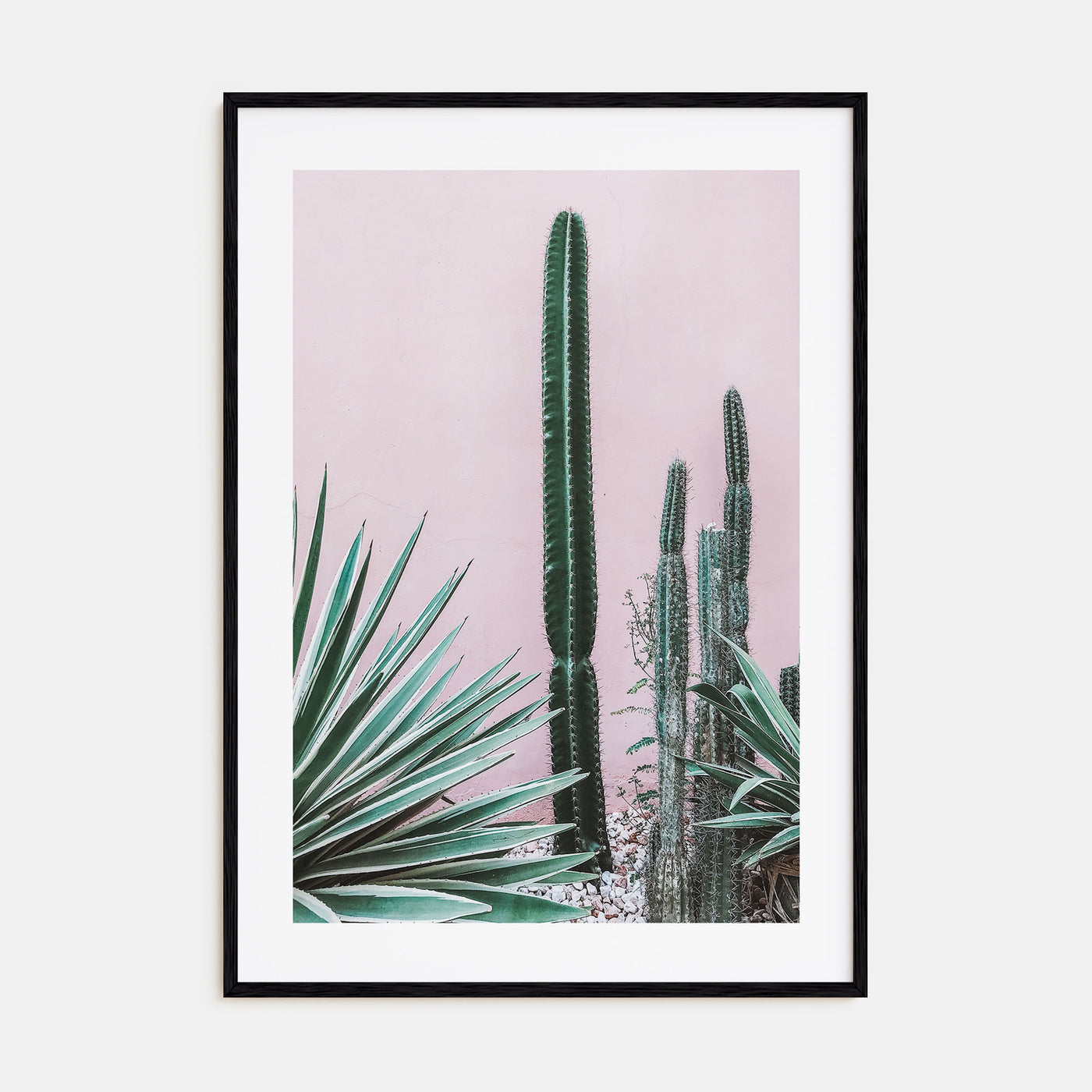 Cactus Photo Color No 2 Poster