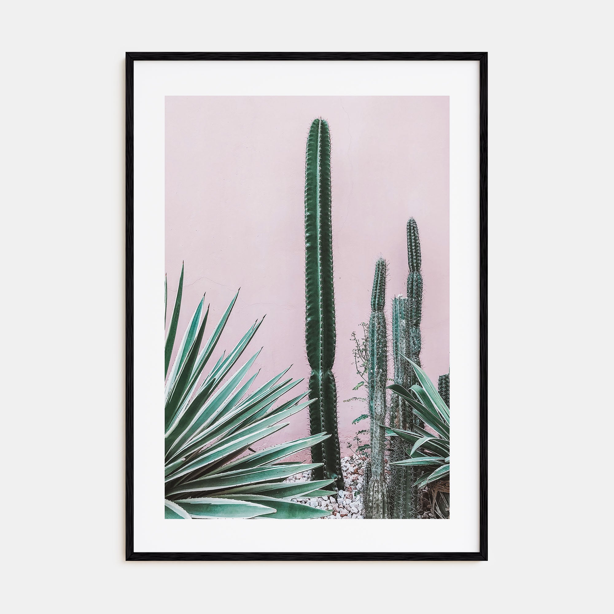 Cactus Photo Color No 2 Poster