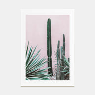Cactus Photo Color No 2 Poster