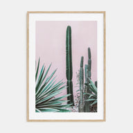 Cactus Photo Color No 2 Poster