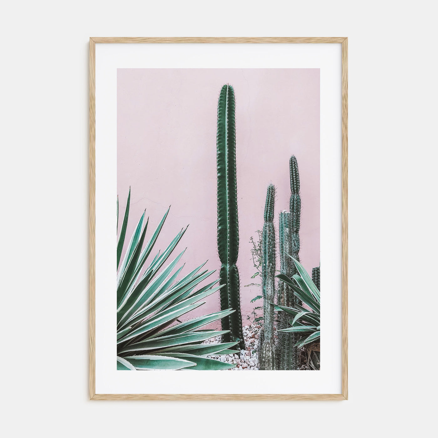 Cactus Photo Color No 2 Poster