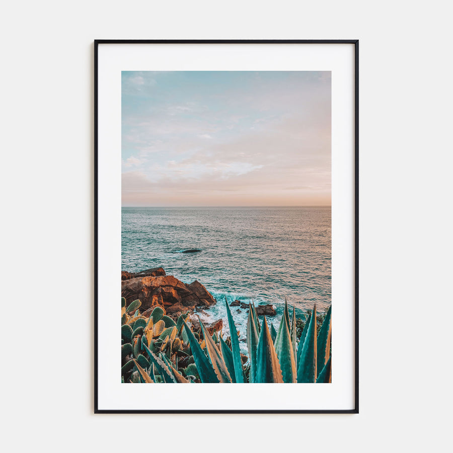 Cactus Photo Color No 3 Poster