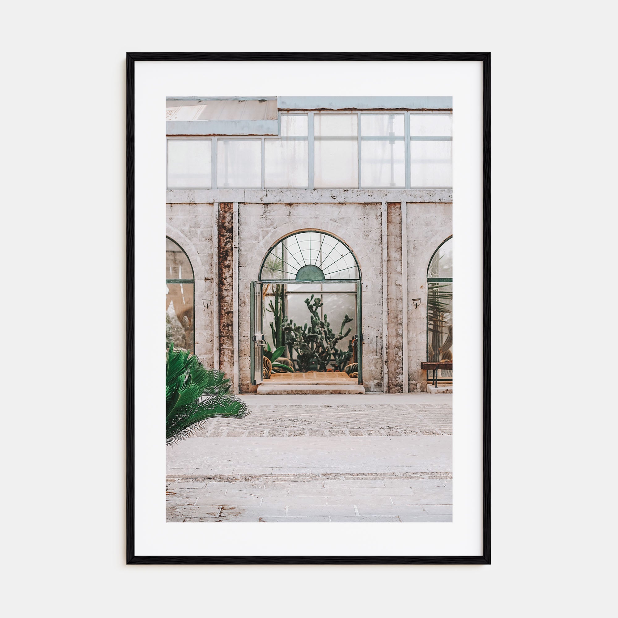 Cactus Photo Color No 4 Poster