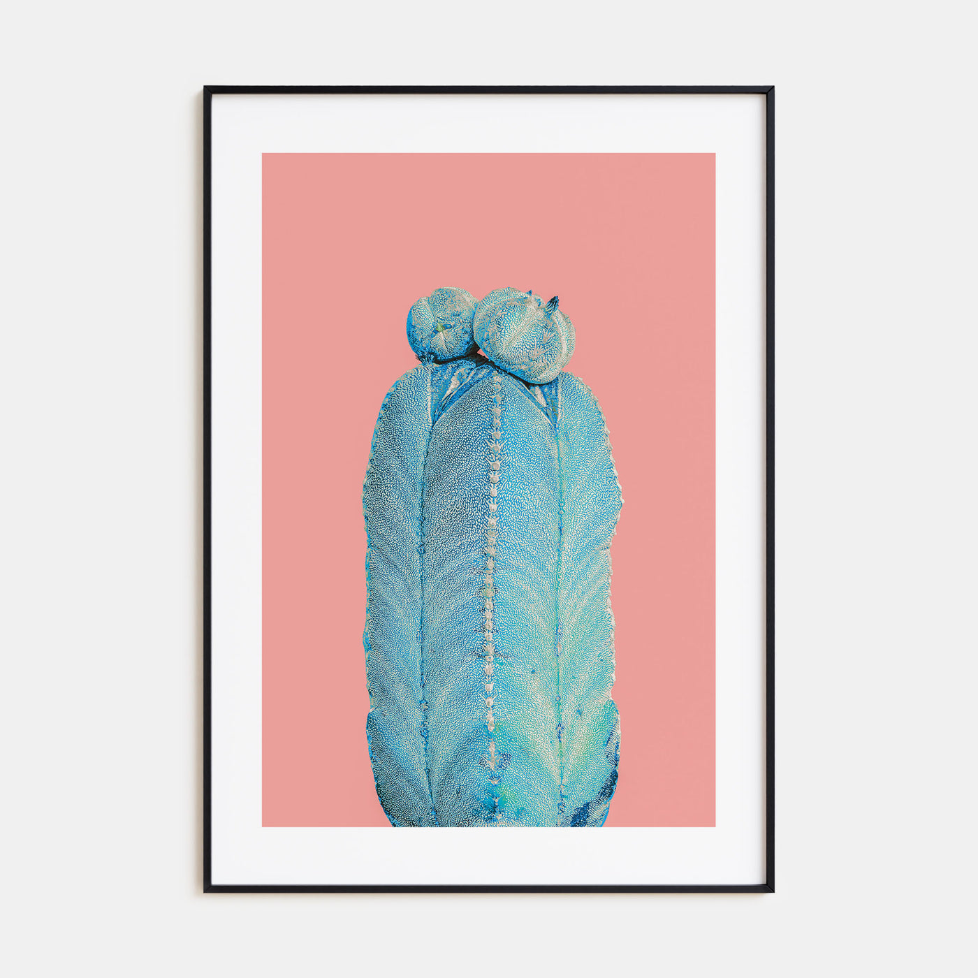 Cactus Photo Color No 5 Poster