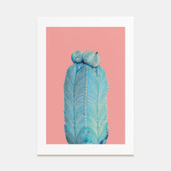 Cactus Photo Color No 5 Poster