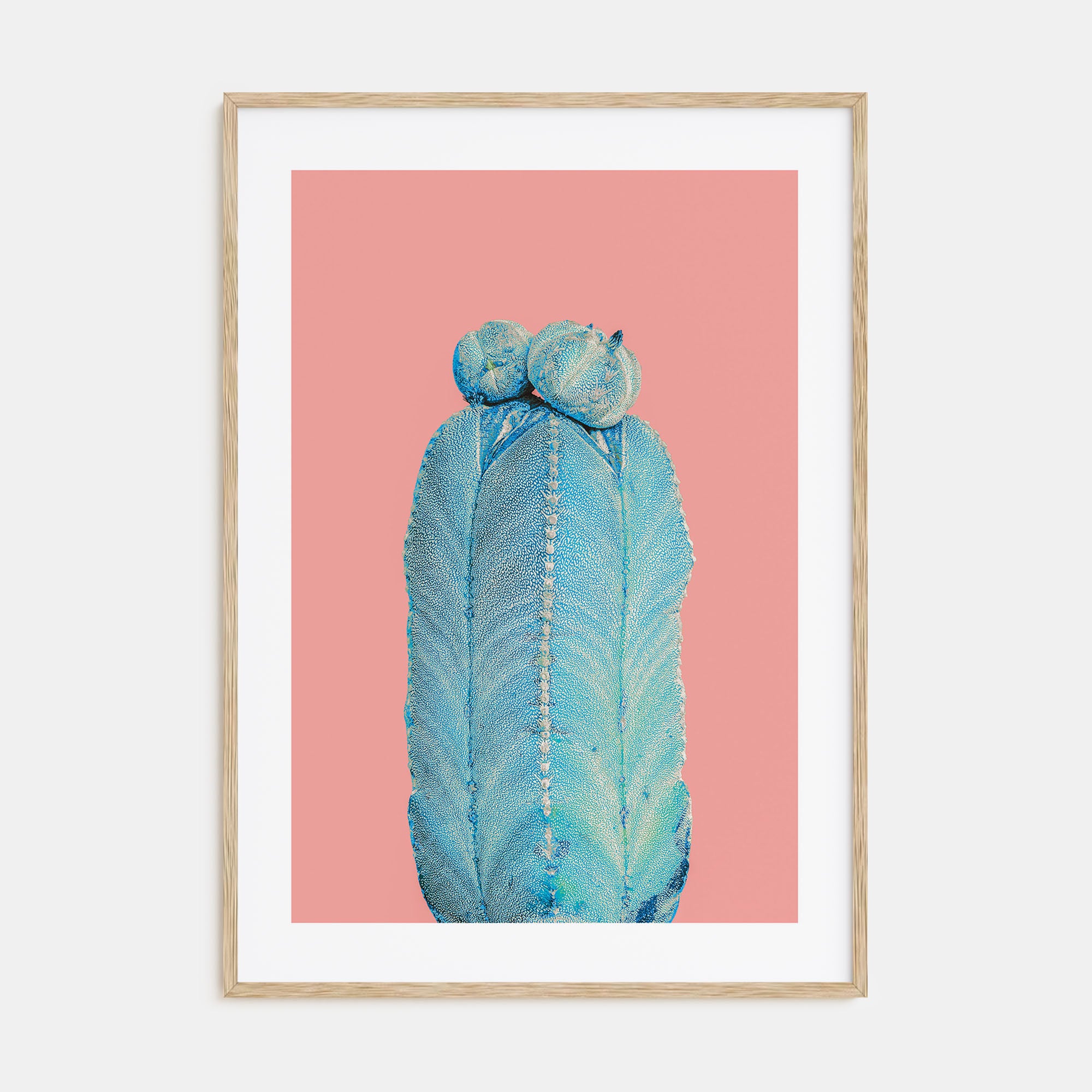 Cactus Photo Color No 5 Poster