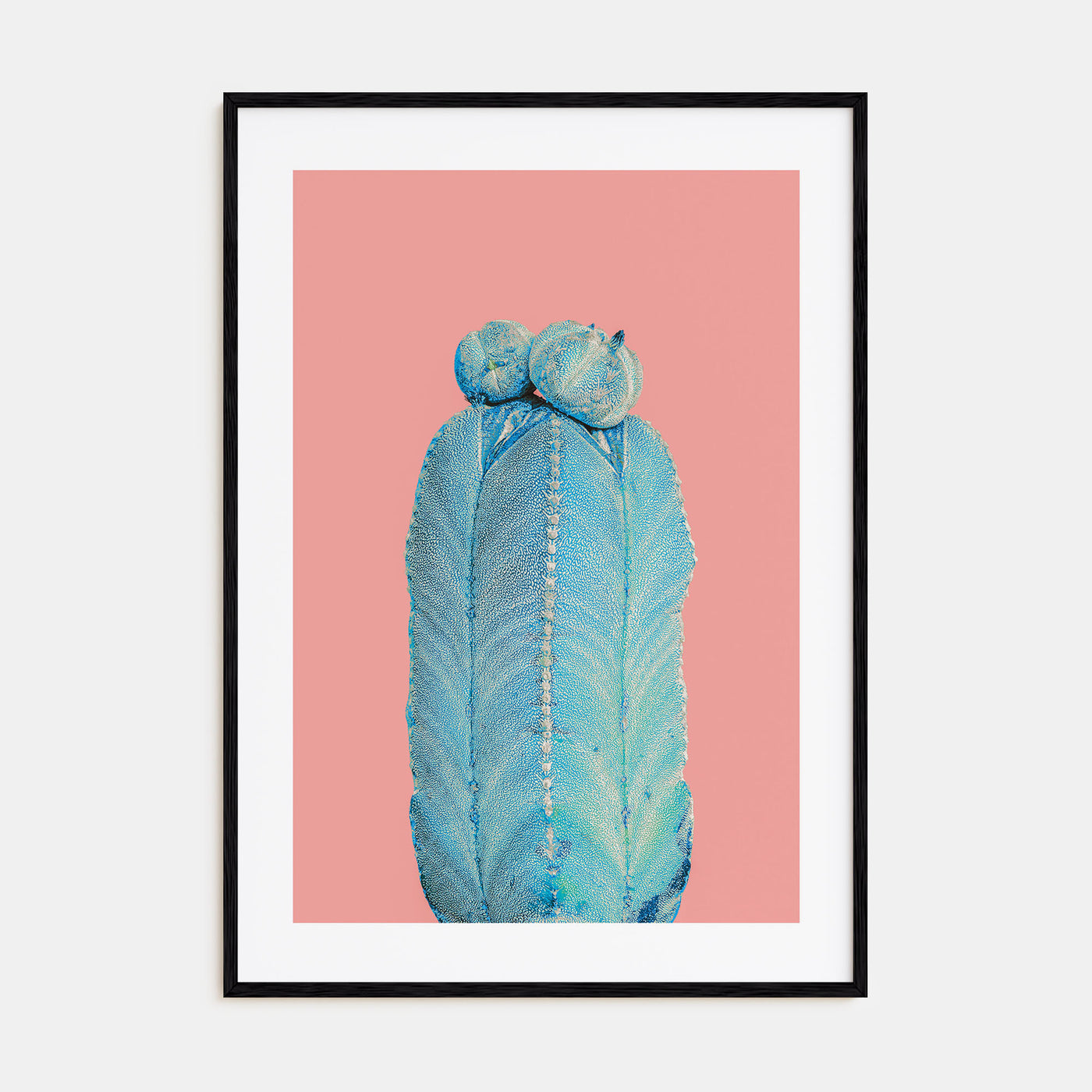 Cactus Photo Color No 5 Poster