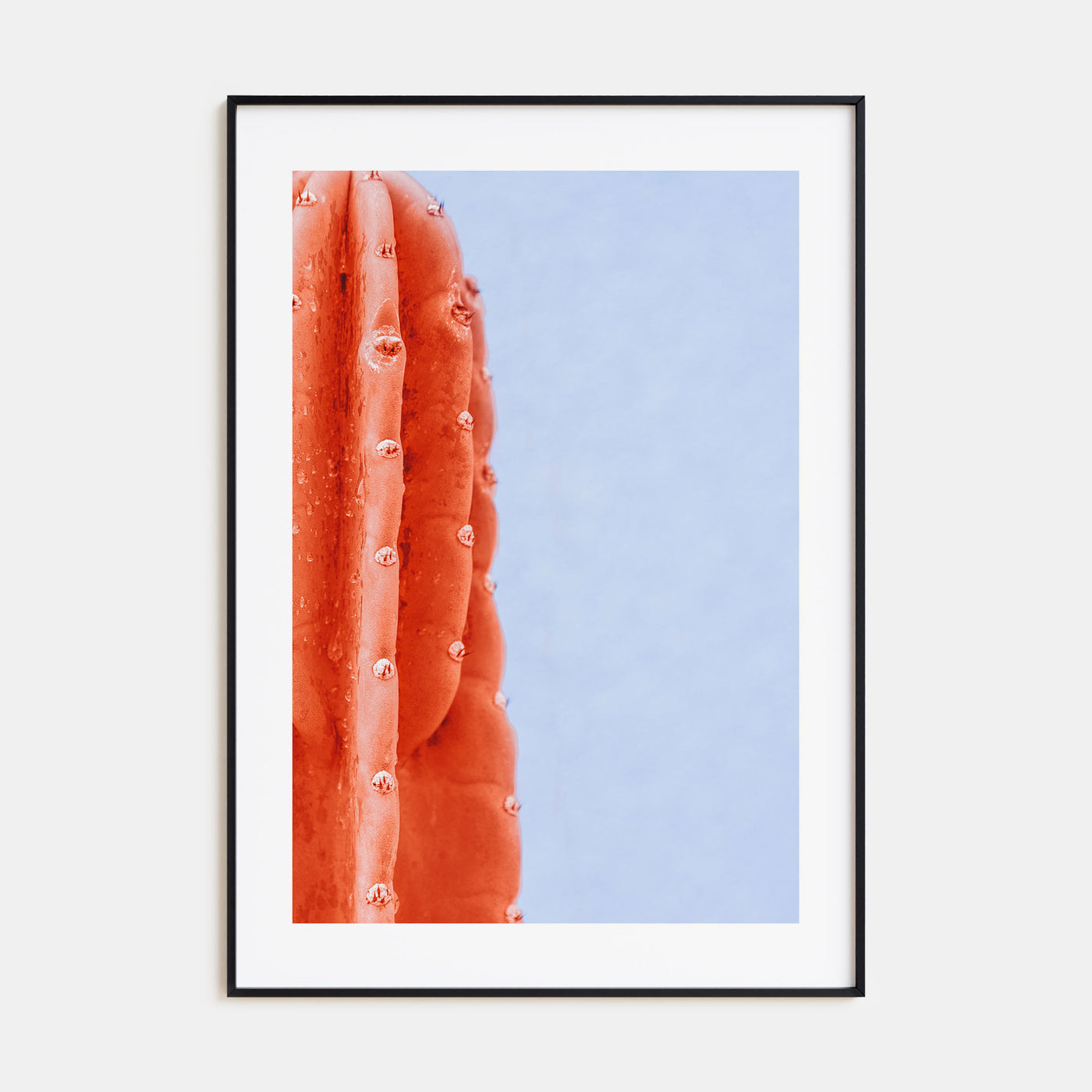 Cactus Photo Color No 6 Poster