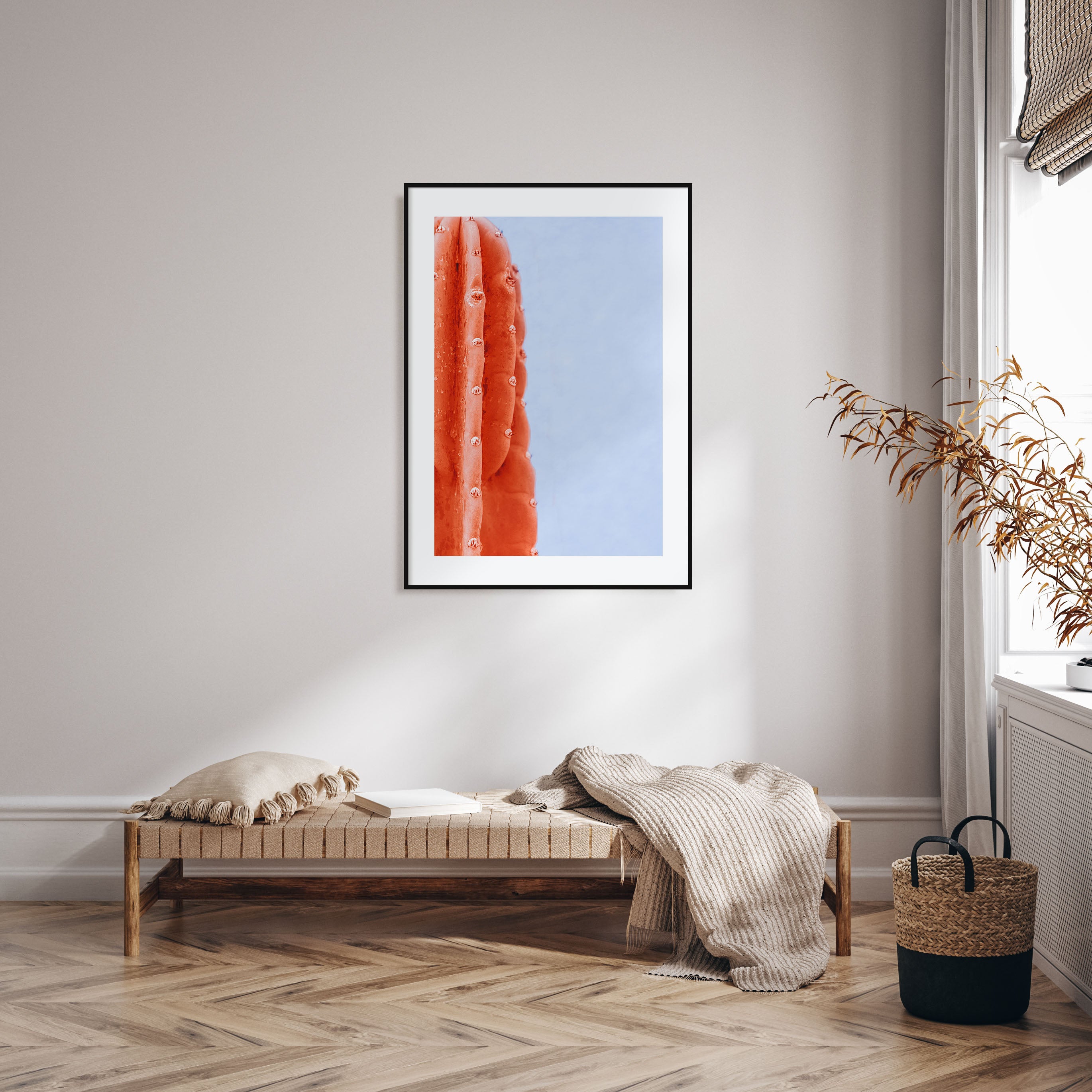 Cactus Photo Color No 6 Poster