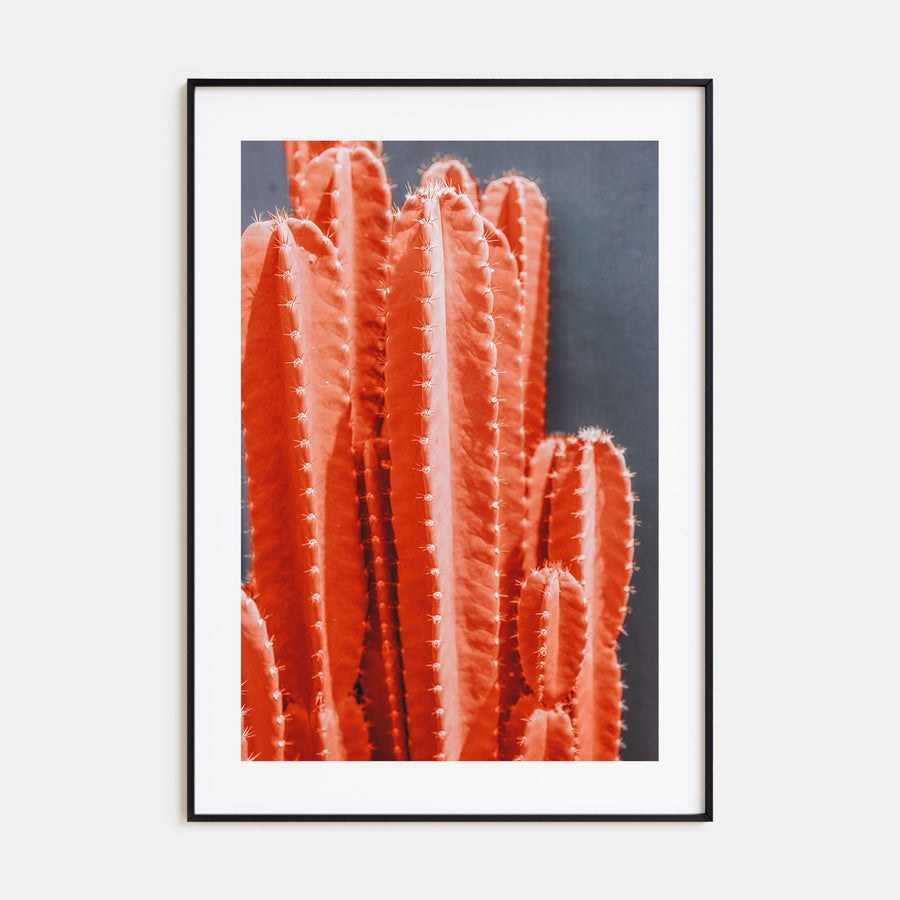 Cactus Photo Color No 7 Poster