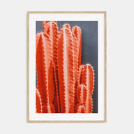 Cactus Photo Color No 7 Poster
