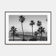 California Landscape B&W No 2 Poster