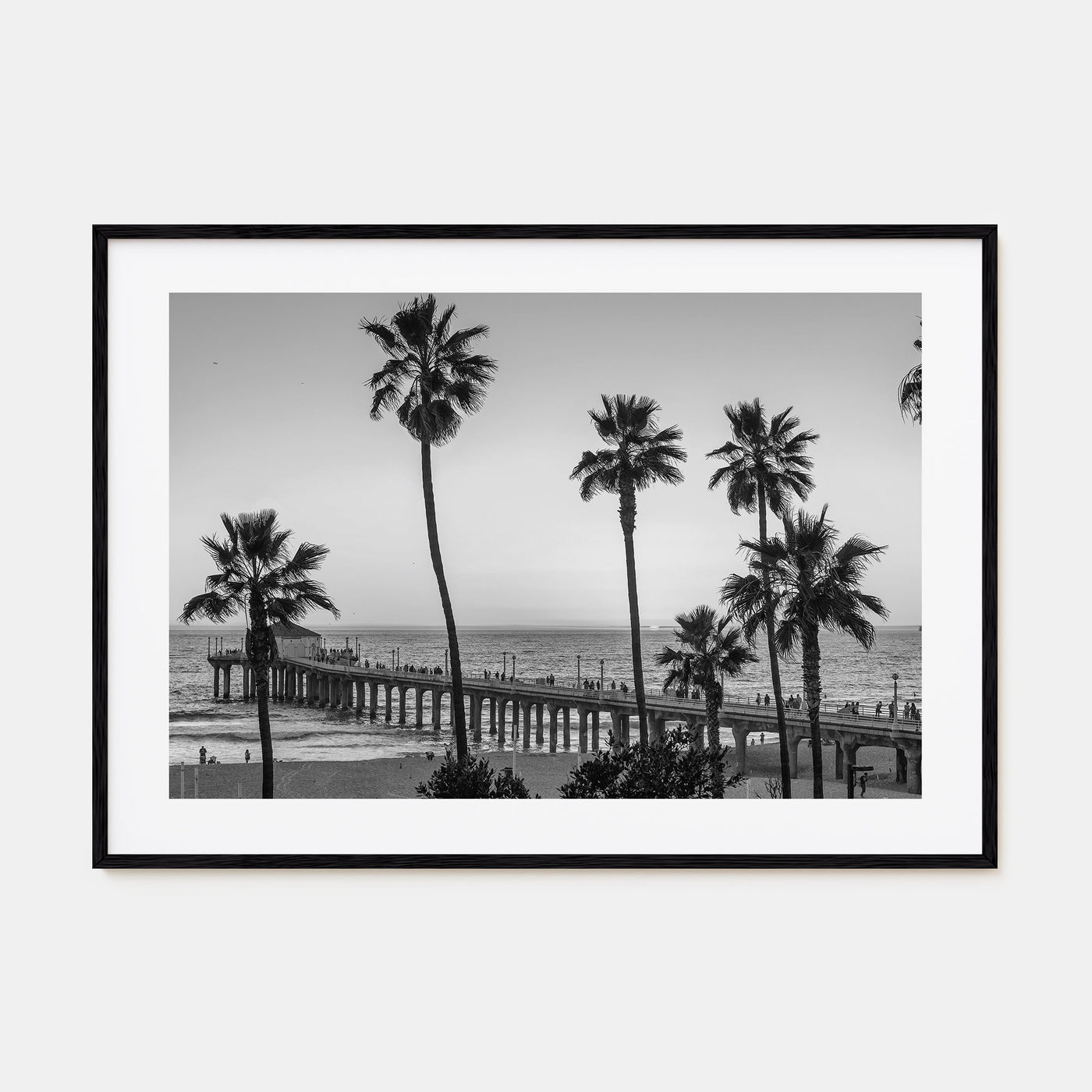 California Landscape B&W No 2 Poster