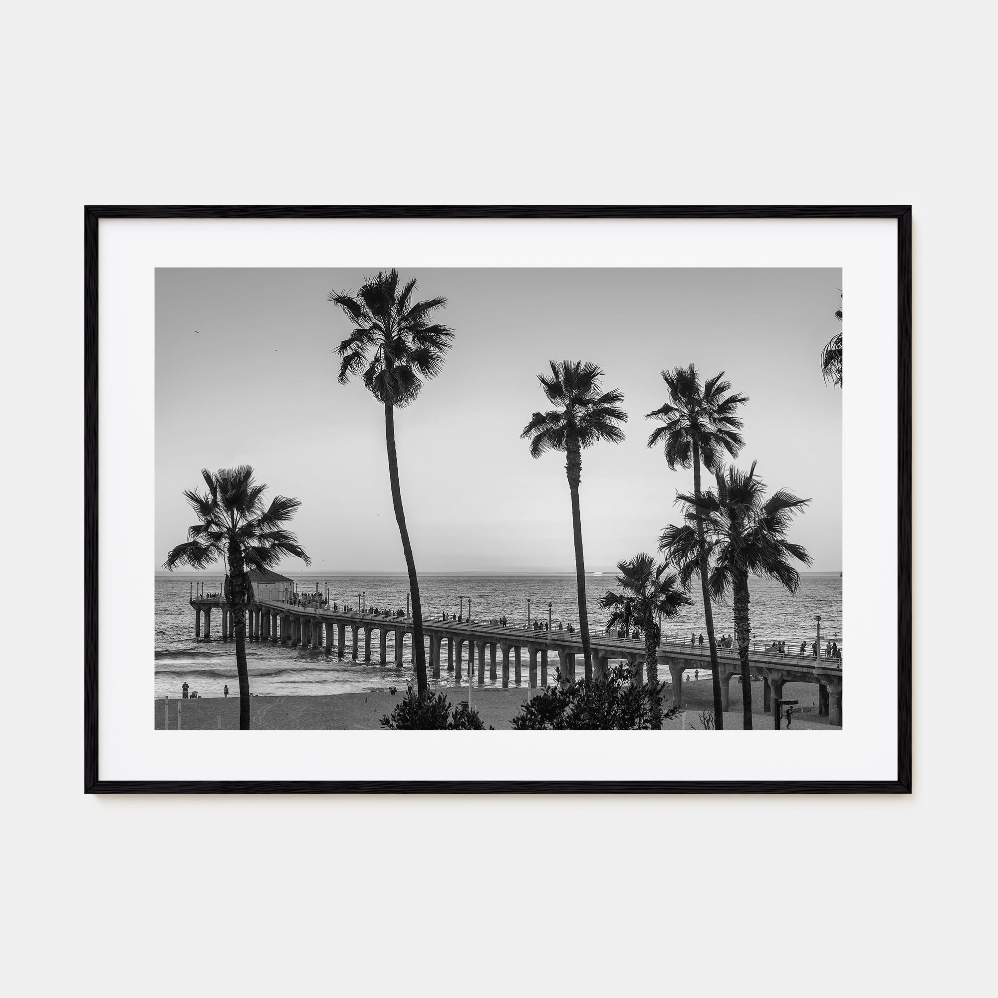 California Landscape B&W No 2 Poster