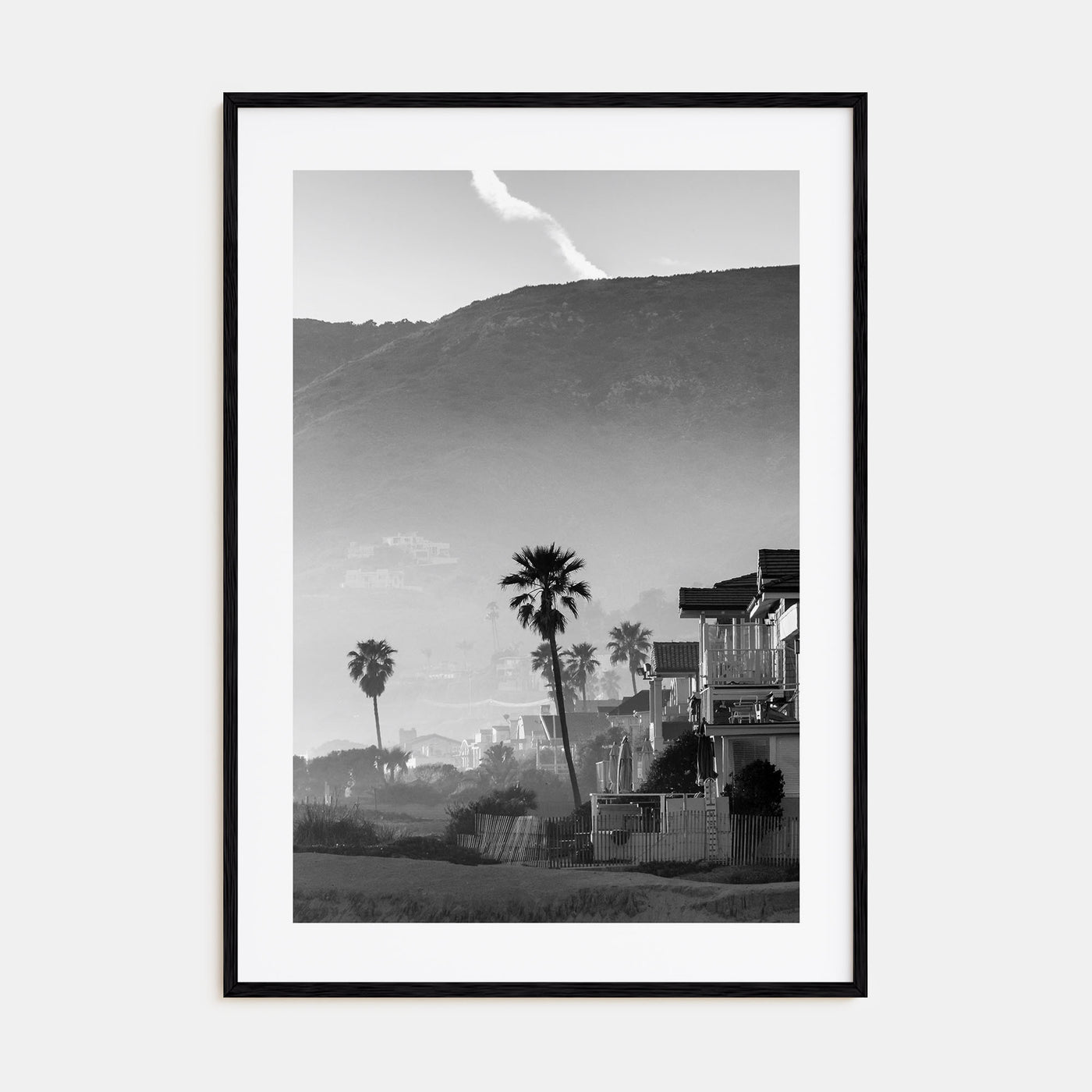 California Photo B&W No 1 Poster