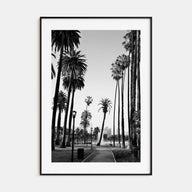 California Photo B&W No 2 Poster