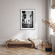 California Photo B&W No 2 Poster