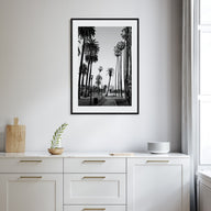 California Photo B&W No 2 Poster