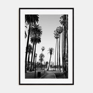 California Photo B&W No 2 Poster