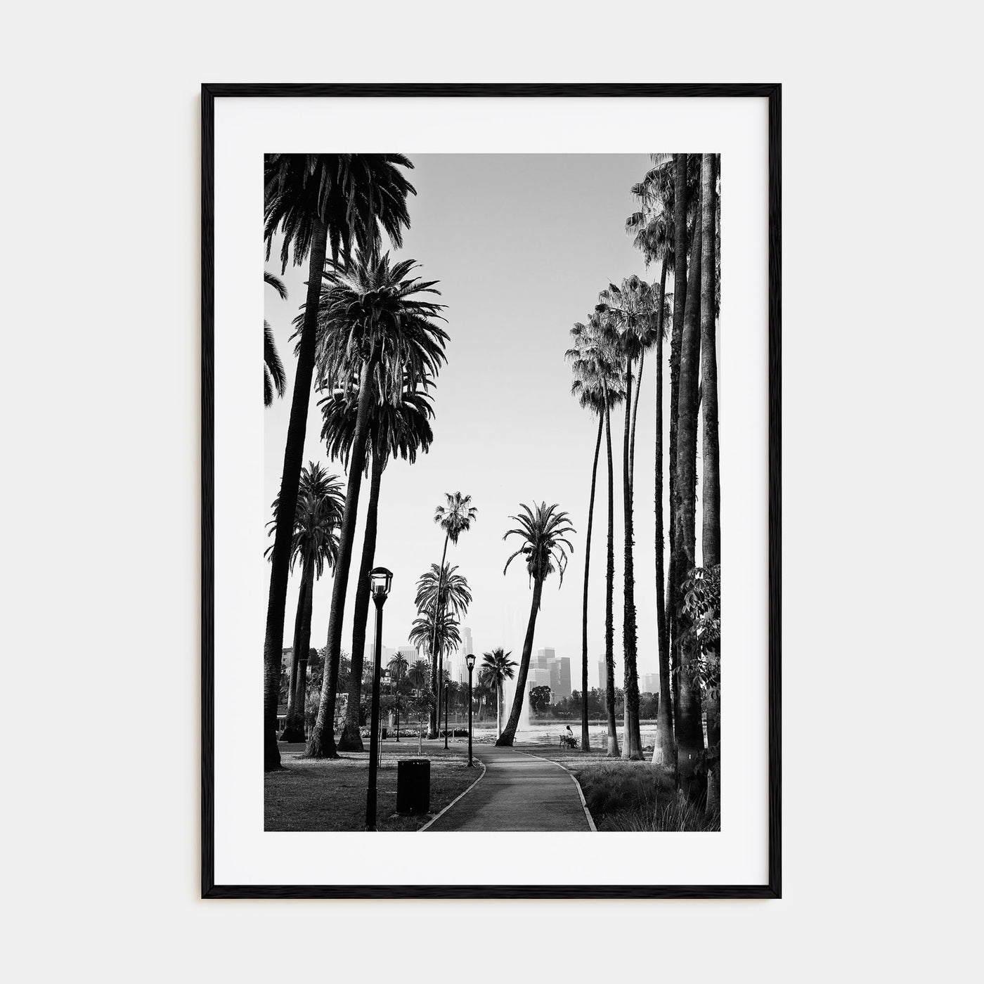 California Photo B&W No 2 Poster