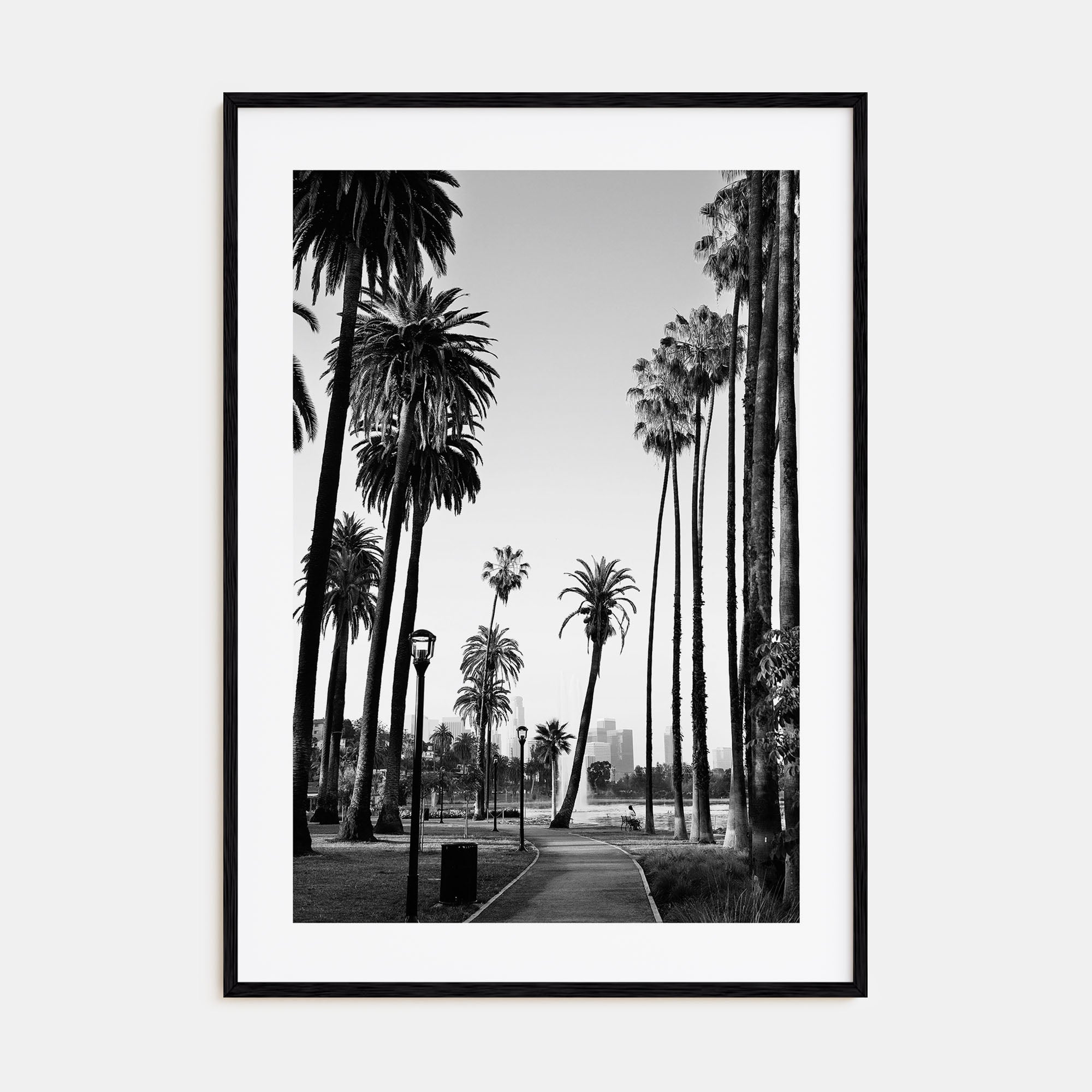 California Photo B&W No 2 Poster