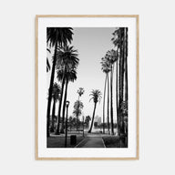 California Photo B&W No 2 Poster