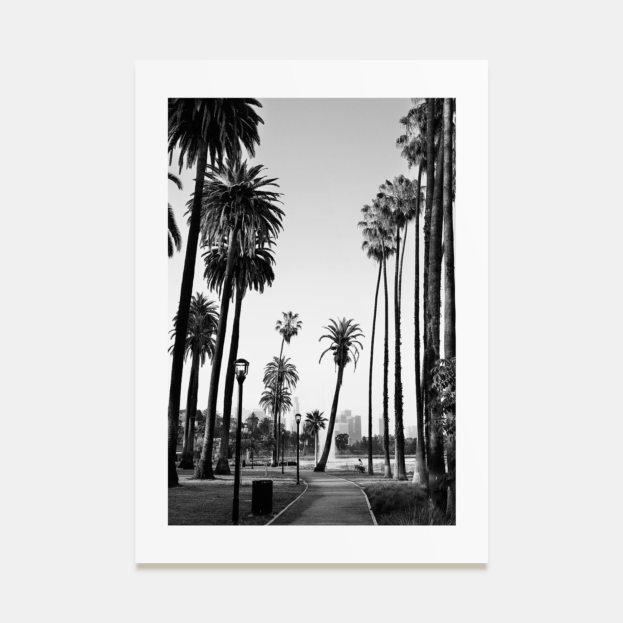 California Photo B&W No 2 Poster